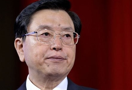 Vorsitzender des Nationalen Volkskongresses Chinas Zhang Dejiang besucht Vietnam - ảnh 1